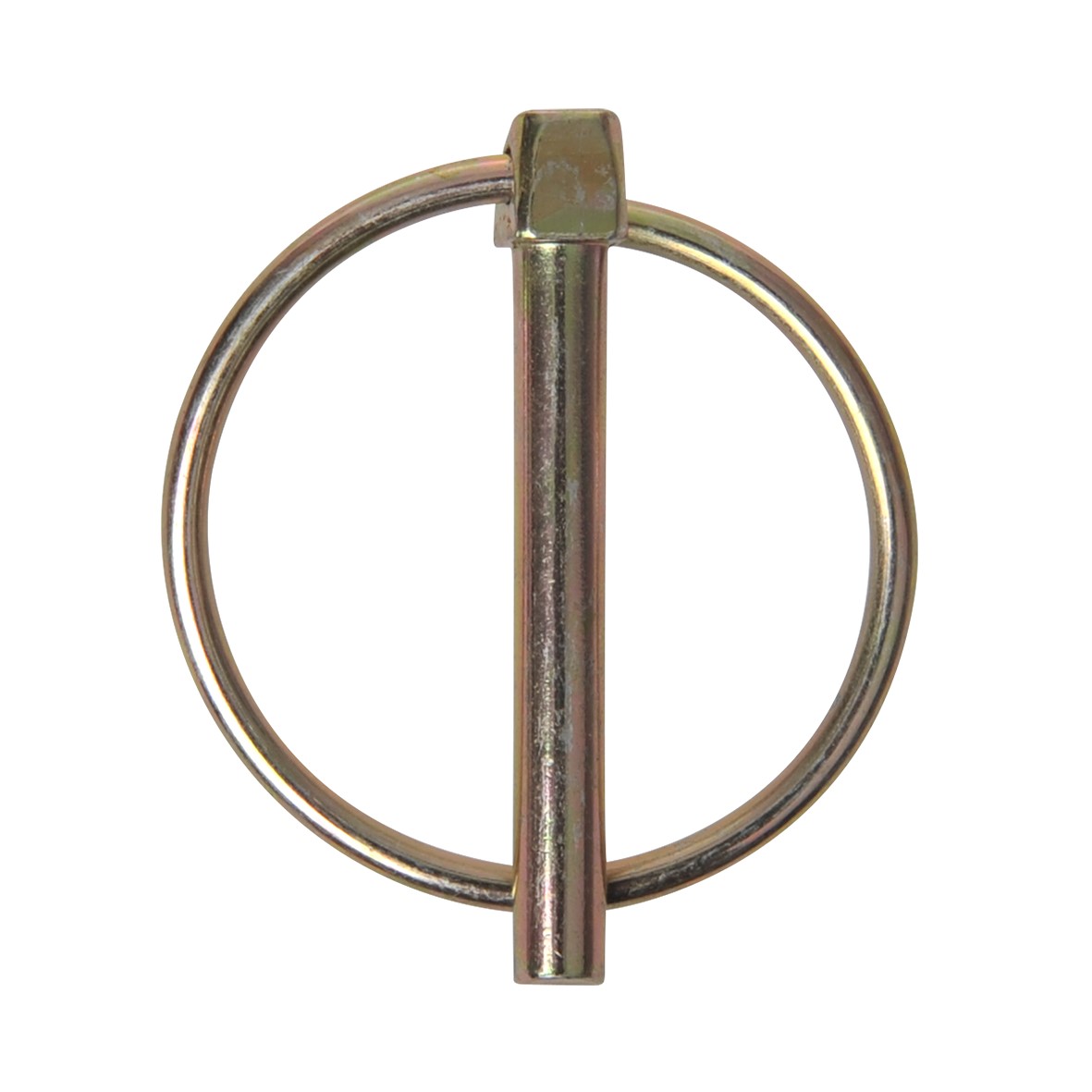 Borgpen 6Mm Met Ring (1St)